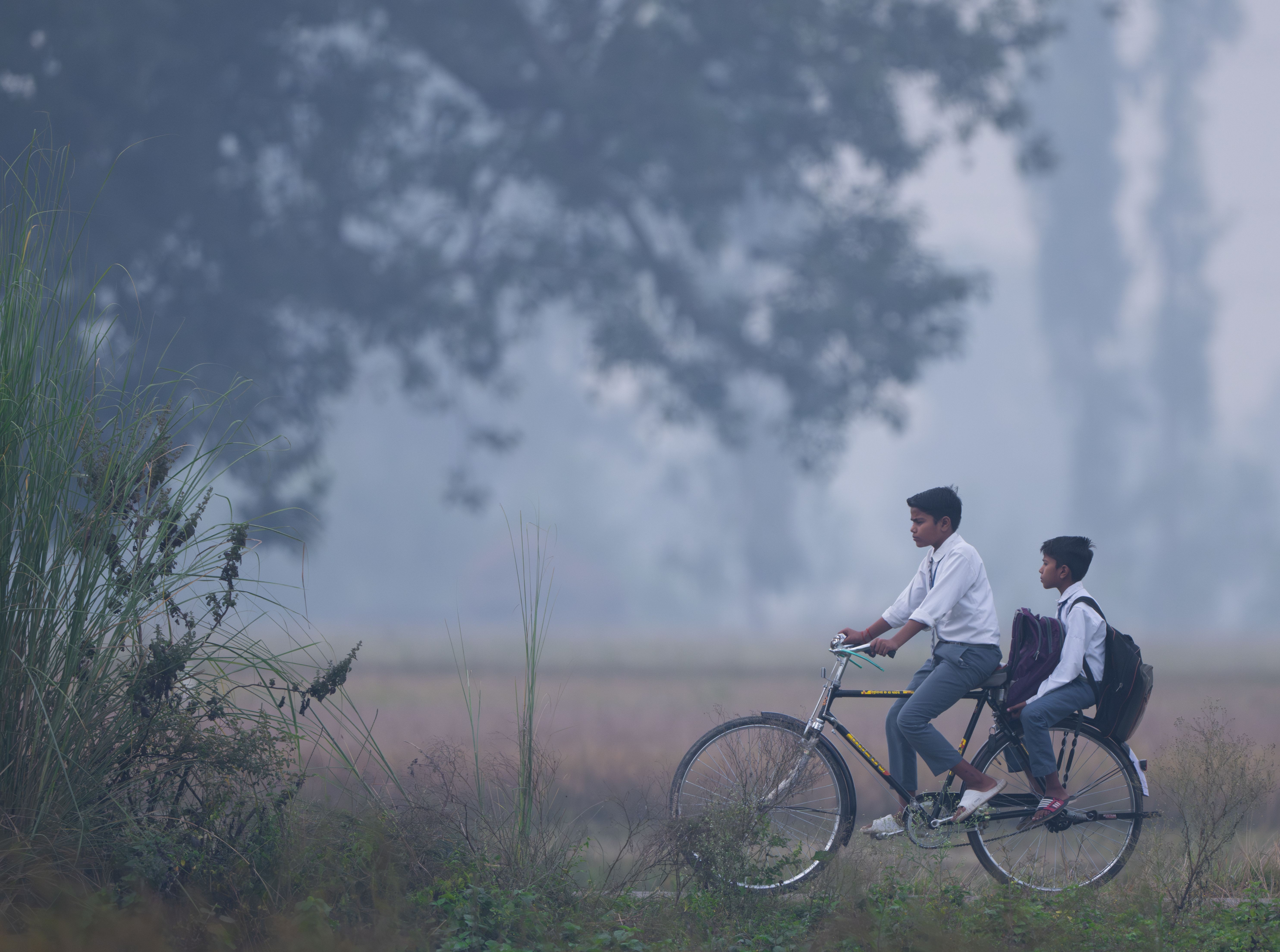 Anveshane Youth Journey